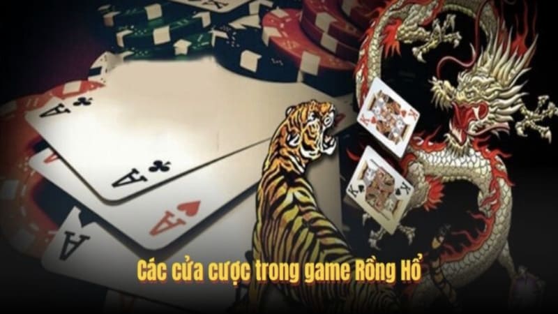 Chi tiết các loại cược trong Game Rồng Hổ Sunwin