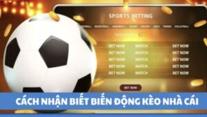 Cách nhận biết biến động kèo qua các dấu hiệu thực tế