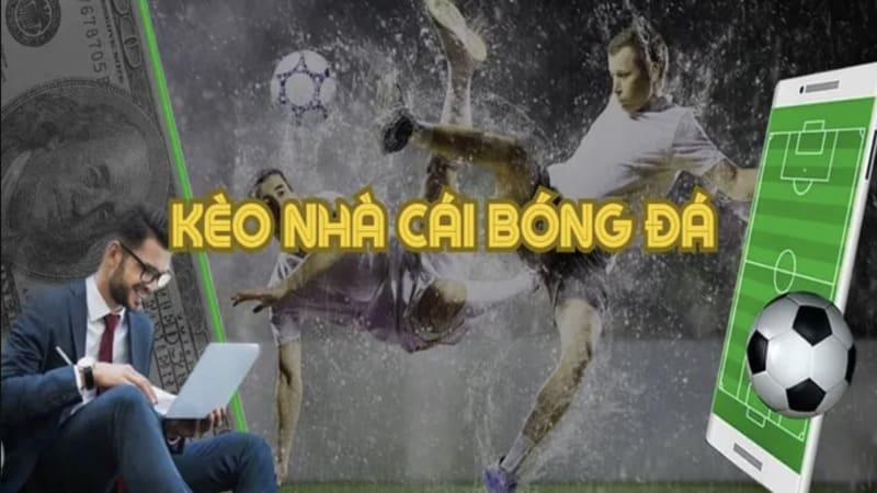 Hiểu đúng về biến động kèo trong cá độ bóng đá