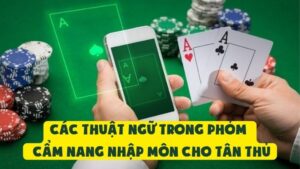 Các Thuật Ngữ Trong Phỏm | Cẩm Nang Nhập Môn Cho Tân Thủ