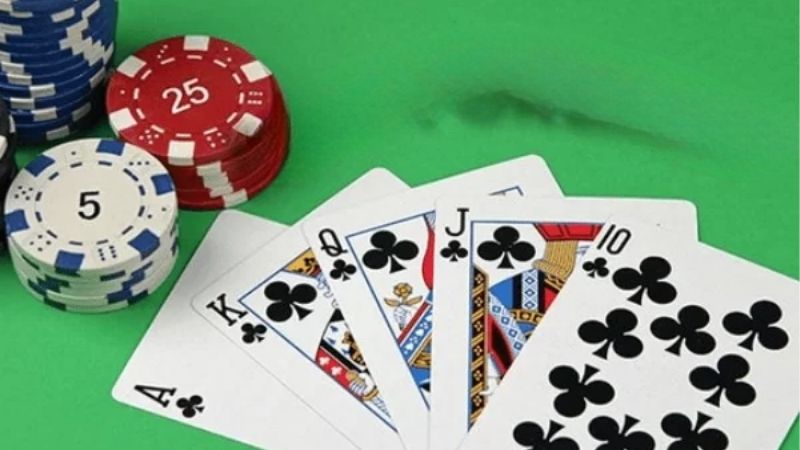 Cách Gửi Bài Trong Phỏm Và Những Lỗi Khiến Bạn Mất Lợi Thế