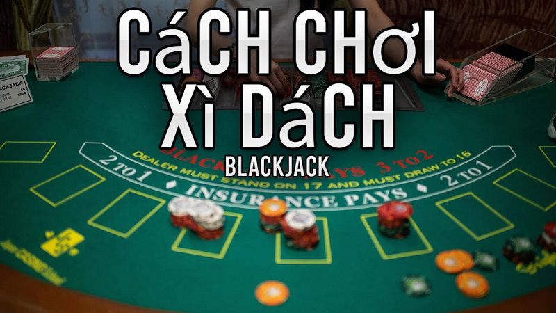 Quy Định Rút Bài Và Quyền Hạn Đặc Biệt Của Nhà Cái