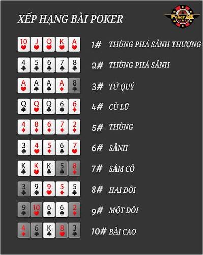 Chi Tiết Quy Trình Phân Định Khi Bài Có Cùng Thứ Hạng (Tie-Breaker)